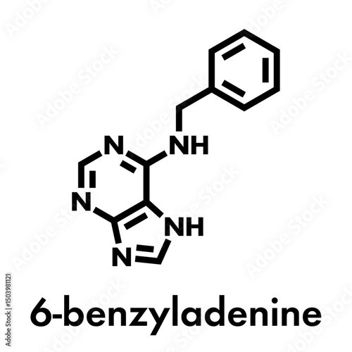 6-Benzyladenine plant growth regulator molecule. Skeletal formula.