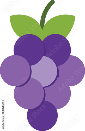vector illustration of grapes