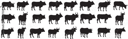 Black silhouette of cattle herd vector illustration farm animals domestic livestock beef cows bulls agriculture 100