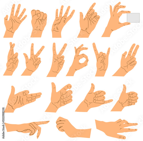 Different hand gestures. flat illustration of female hands in various situations. Design elements set  for infographics, web, internet, presentation