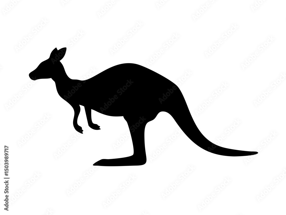Fototapeta premium Full Profile View Of A Red Kangaroo In Perfect S