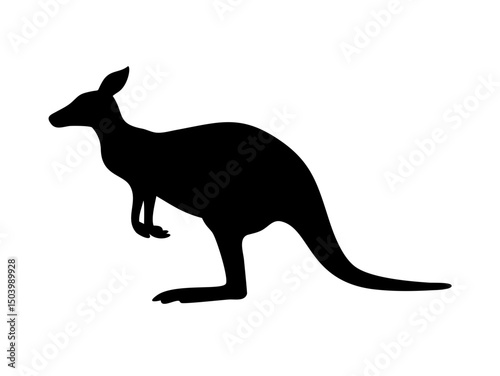 Full Body And Partial Close Up Of A Kangaroo In