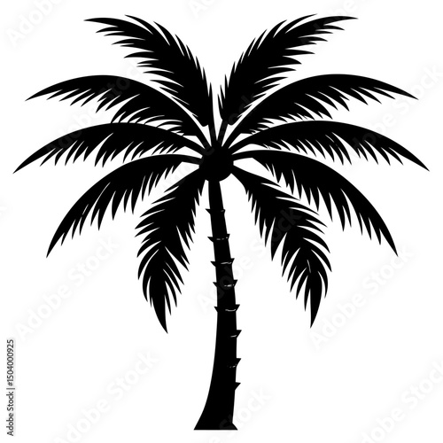 palm tree silhouette
