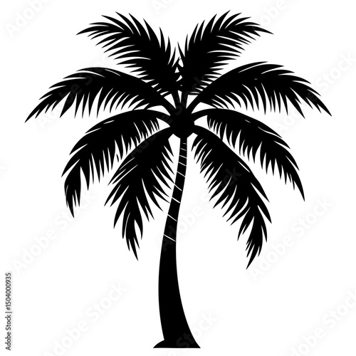 palm tree silhouette