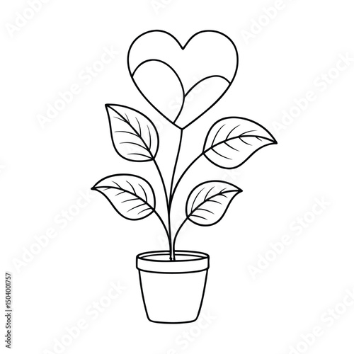 Black outlined heart blooms from a potted plant with detailed leaves beautifully