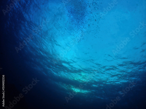 Looking up the surface of water in the morning