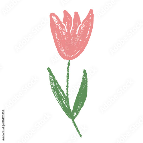 Tulip flower crayon drawn. Spring crocus plant doodle isolated on white background. Summer floral kids element. Chalk or pastel style childish scrawl nature shape. Vector naive illustration by pencil.