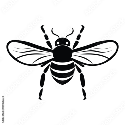 Insect black color on isolated white background