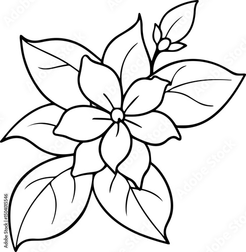 jasmine flower outline coloring book page line art vector illustration