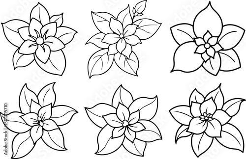 Set of jasmine flower outline coloring book page line art vector illustration