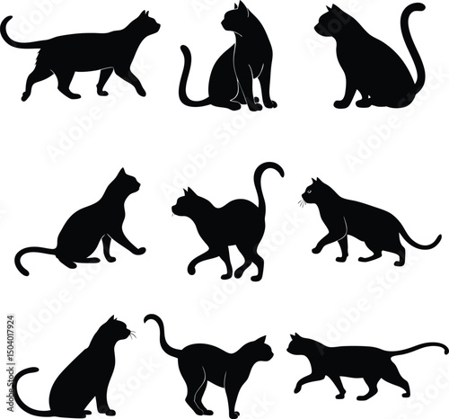 Cat Silhouettes, Black Cat Clipart Bundle, Cat SVG Bundle, Cats PNG, Cats SVG, Black Cat Vector Illustrations,CATS Bundle SVG, Cat SVG, Cats Svg Cut Files for Cricut, Cats Clipart, Cats Vector