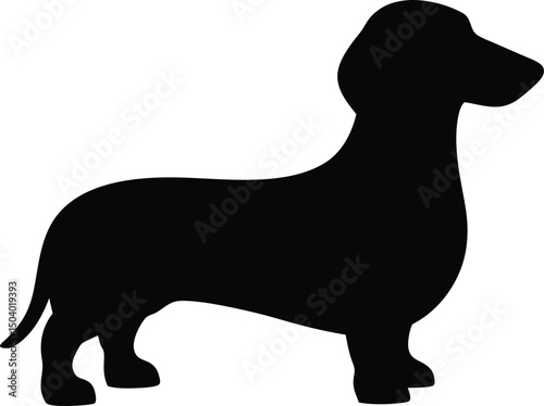 Dachshund Dog Vector Silhouette, Dachshund Silhouette SVG, Dachshund Clipart