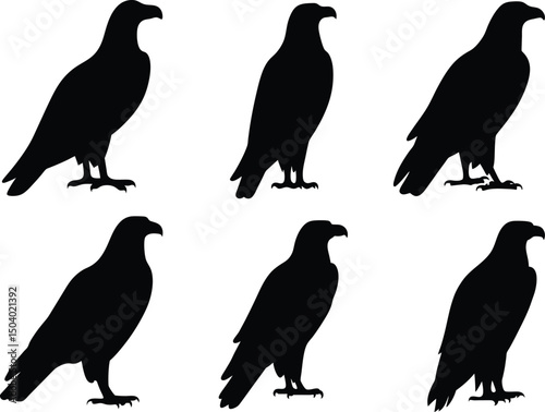 Eagle Silhouette Vector, Black Eagle vector illustration