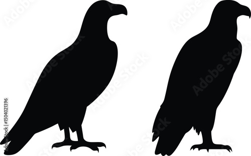 Eagle Silhouette Vector, Black Eagle vector illustration