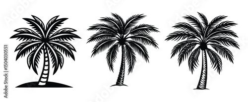 Tropical island sunset vector with palm tree silhouettes on a summer beach