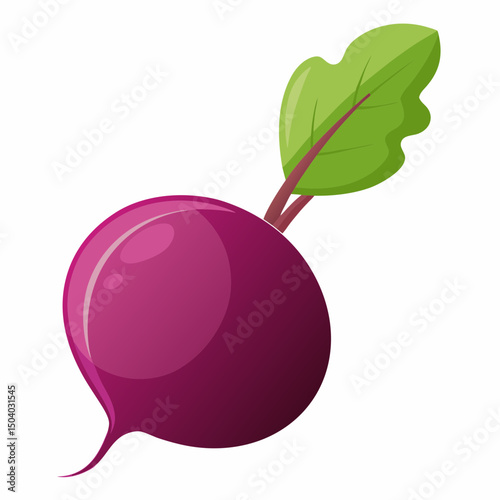 Realistic full-body image of a fresh beet on a white background, ideal for food, nutrition, or botanical design projects.
