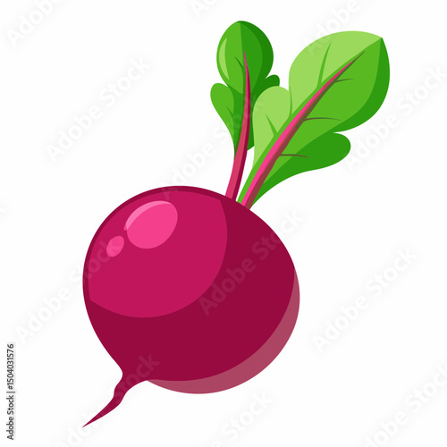 Realistic full-body image of a fresh beet on a white background, ideal for food, nutrition, or botanical design projects.