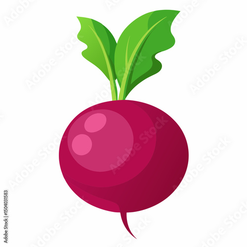Realistic full-body image of a fresh beet on a white background, ideal for food, nutrition, or botanical design projects.