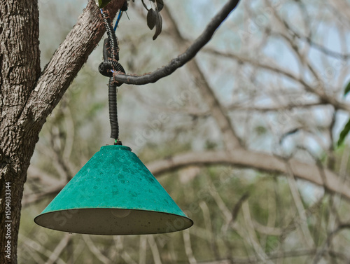 Green lamp on a tree