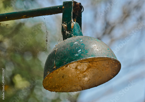 Green lamp on a tree