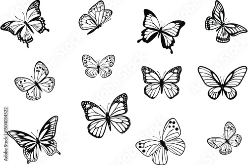 Collection of Black and White Butterfly Illustrations on a White Background