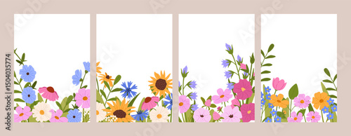 Spring flowers card. Blank floral card templates with wildflowers blooming. Daisy, cornflower and sunflower, meadow herbs floral frame border. Wedding invitations vector set.