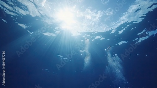 Wallpaper Mural Sunlight streams through the deep blue water. Torontodigital.ca