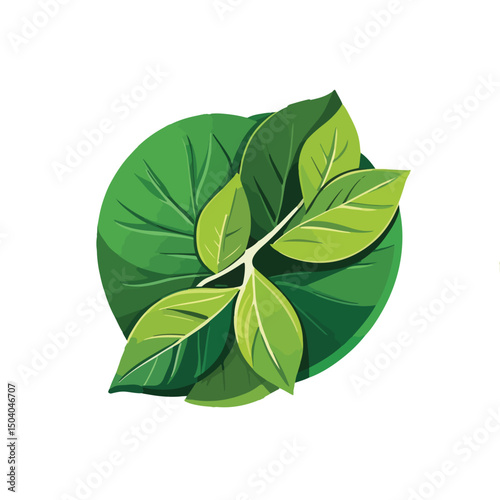 green leaves isolated on white