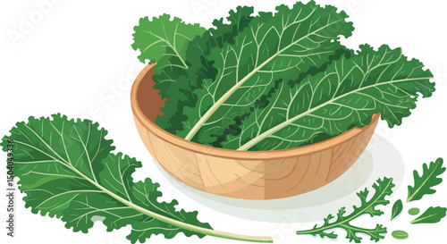Vector illustration of fresh kale in a bowl on a clean white background
