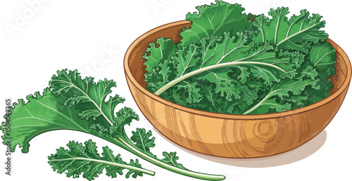 Vibrant vector design of fresh kale in a bowl on a white background