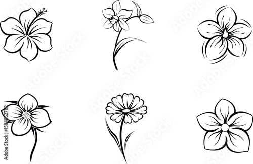 Black and white flower illustrations set hibiscus daisy orchid vector art