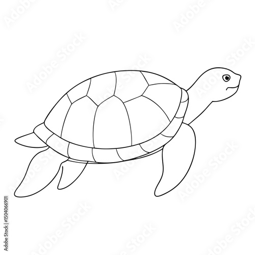 An outlined turtle faces right with detailed shell markings and fins shows animal shape