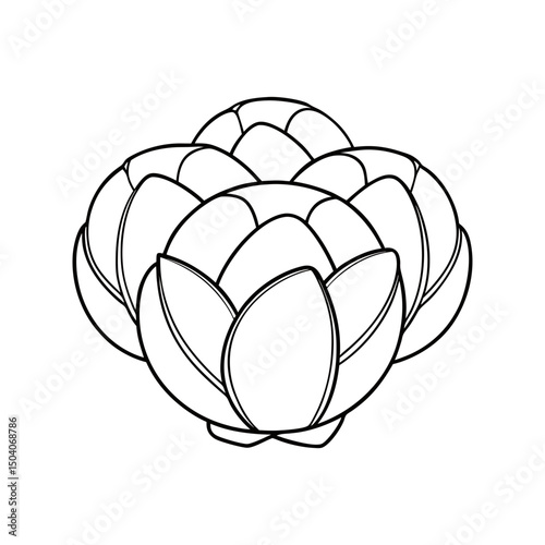 Brussel Sprouts Adult and Kids Coloring Page Vector