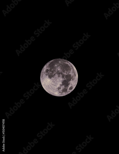 full moon in the night