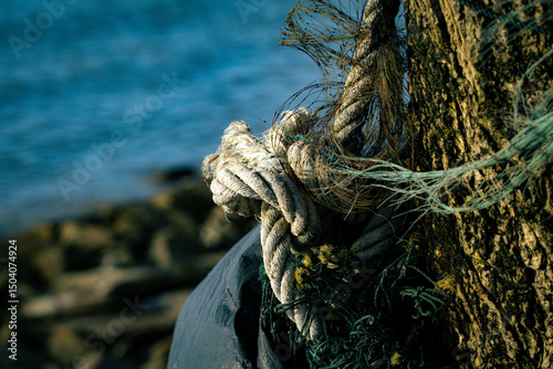 old fishing nets tied to a tree