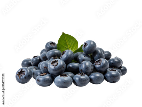 blueberries isolated on white