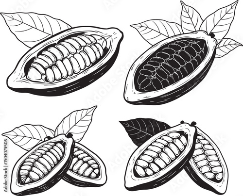 Cacao Beans Icon Silhouette Vector Illustration