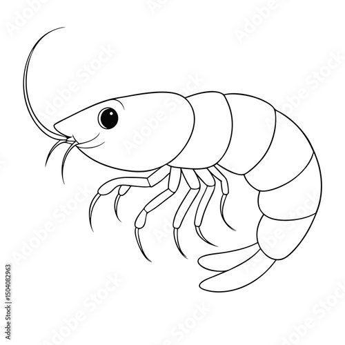 Outlined shrimp presents curved antenna and segmented body against a white background