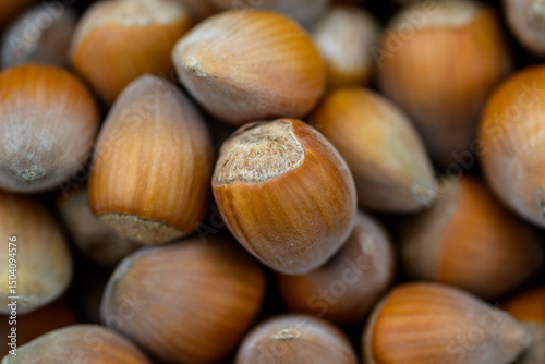 Macro closeup view of pile of raw shelled Hazelnuts, healthy food