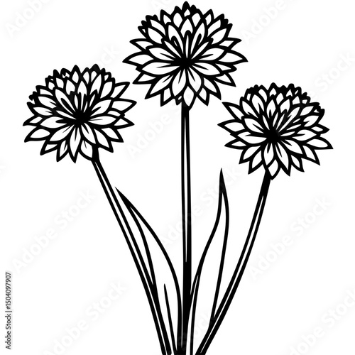 Simple Allium Vector on White