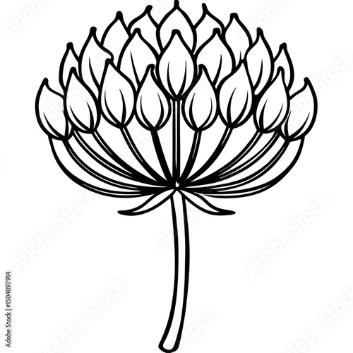 Simple Allium Vector on White