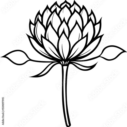 Simple Allium Vector on White