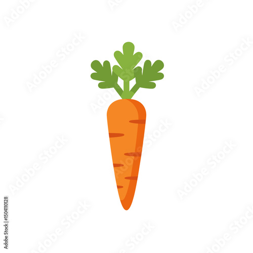 Fresh carrot illustration with green leaves on a white background  