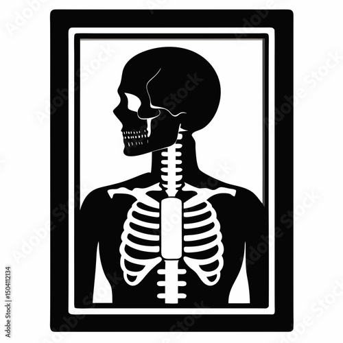 human skull vector illustration
