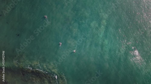 Aerial view of surfers and waves in New Zealand