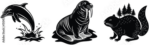 Dolphin walrus and squirrel graphic vector illustration and white wildlife animals isolated on white background