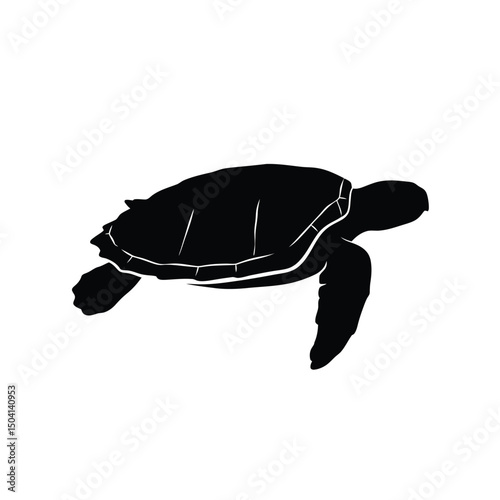 turtle vector illustration