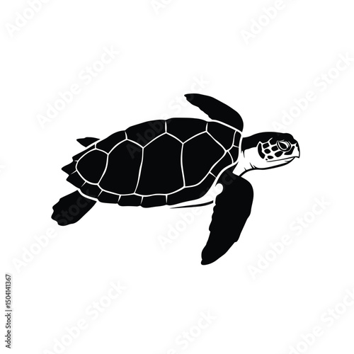 turtle vector illustration