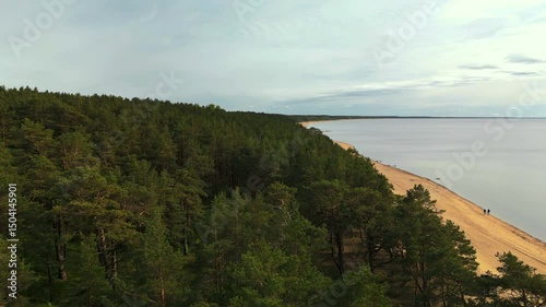Wallpaper Mural A beautiful aerial view showcasing a serene beach alongside a lush forest landscape, full of vibrant nature Torontodigital.ca