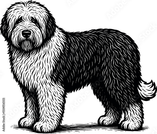 Old English Sheepdog full body side view and facing towards the front vector black silhouette cricut print design isolated on a plain white background
